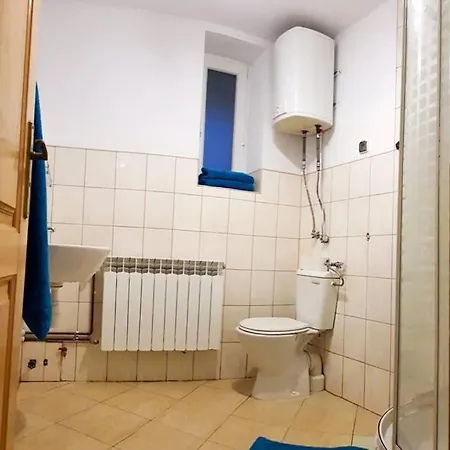 W Centrum Zakopanego Apartment *